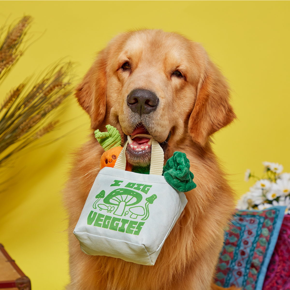 Dig These Veggies Plush Tug + Enrichment Dog Toy