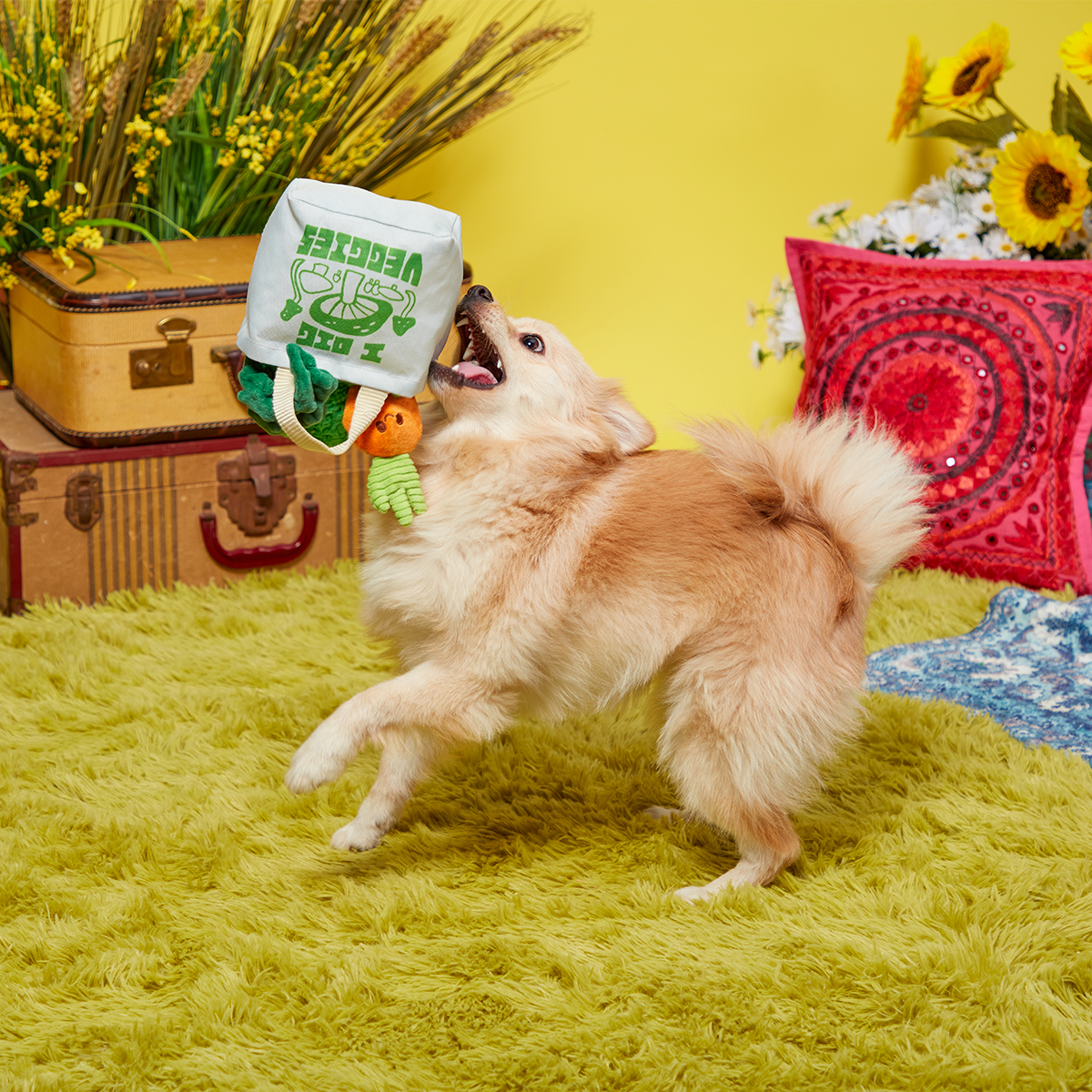 Dig These Veggies Plush Tug + Enrichment Dog Toy