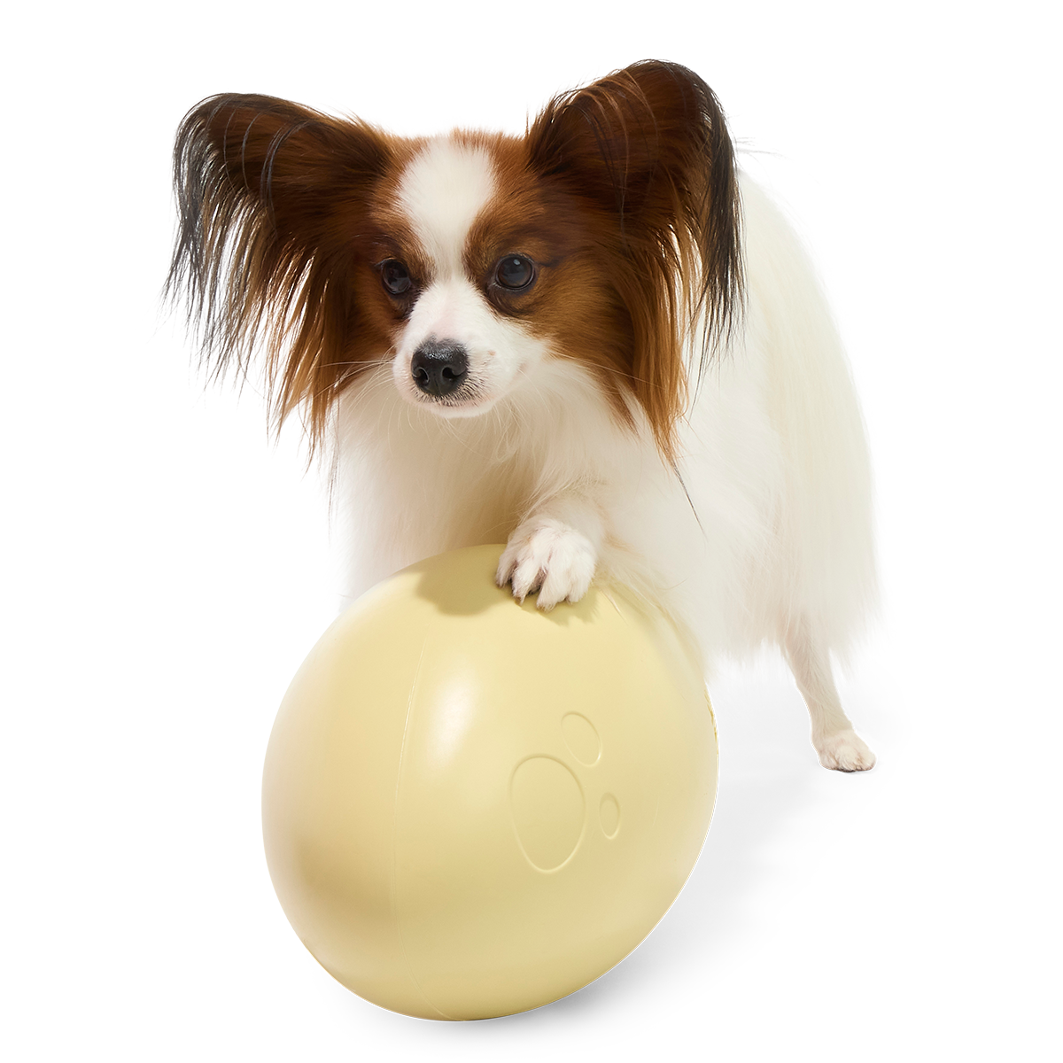 Dinosaur Egg Super Chewer Durable Extra-Large Fetch Dog Toy