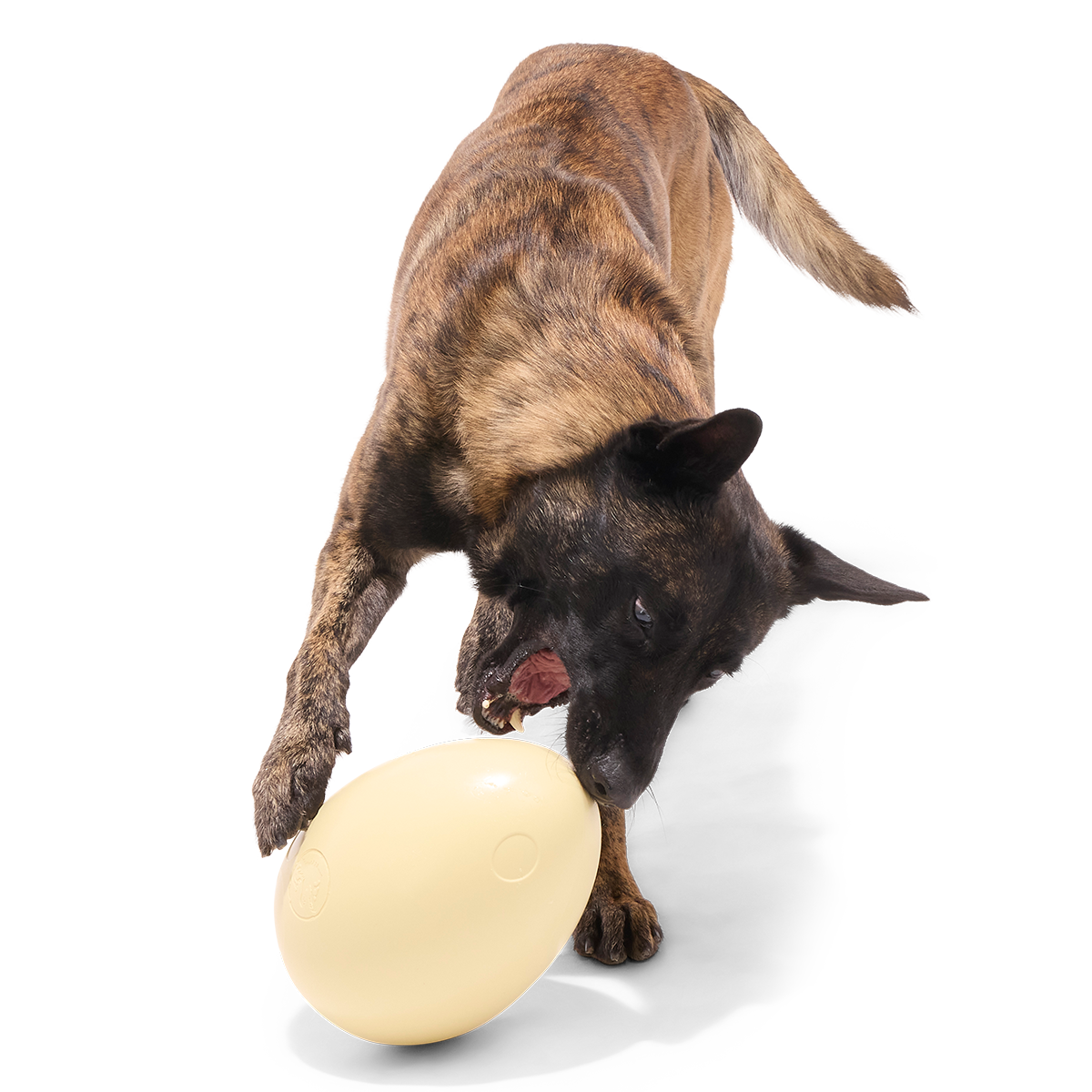Dinosaur Egg Super Chewer Durable Extra-Large Fetch Dog Toy
