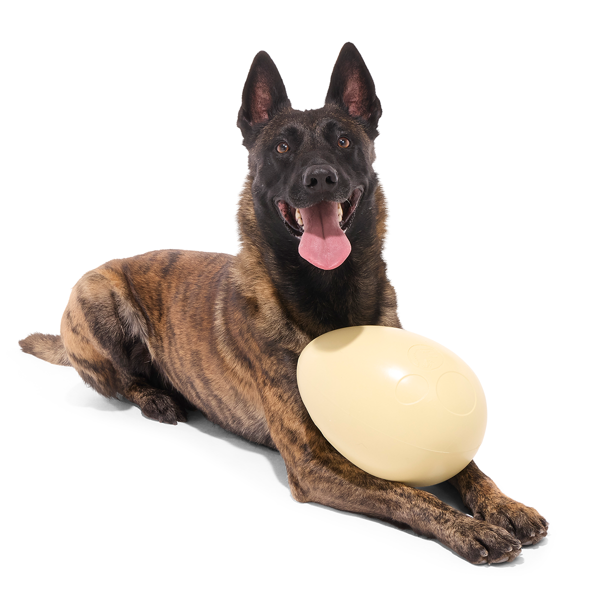 Dinosaur Egg Super Chewer Durable Extra-Large Fetch Dog Toy