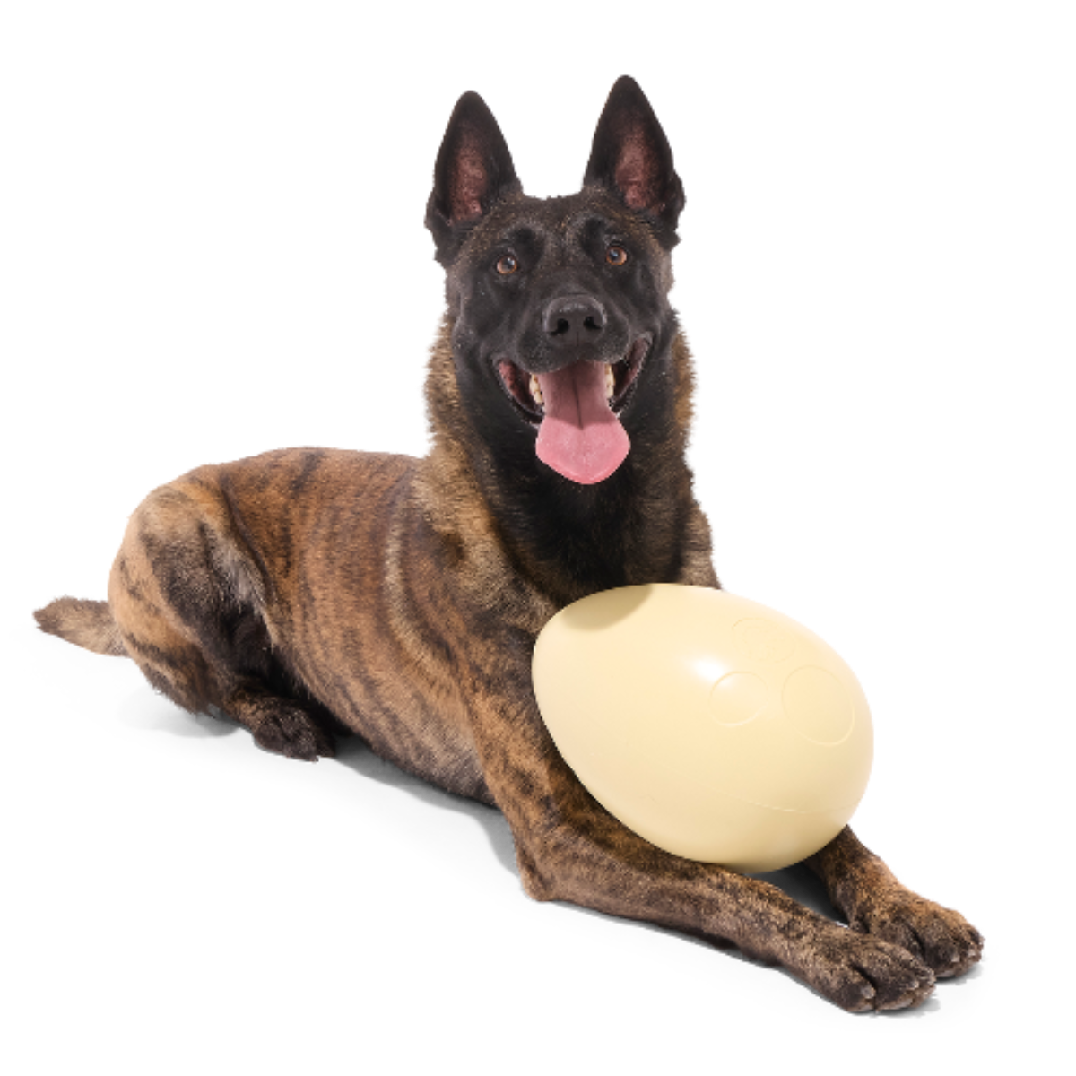 Dinosaur Egg Super Chewer Durable Extra-Large + Fetch Dog Toy