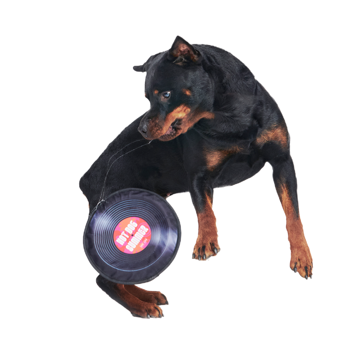 Disco Doggo Disc Super Chewer Durable Fetch Dog Toy