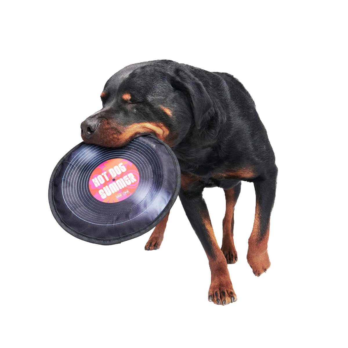 Disco Doggo Disc Super Chewer Durable Fetch Dog Toy