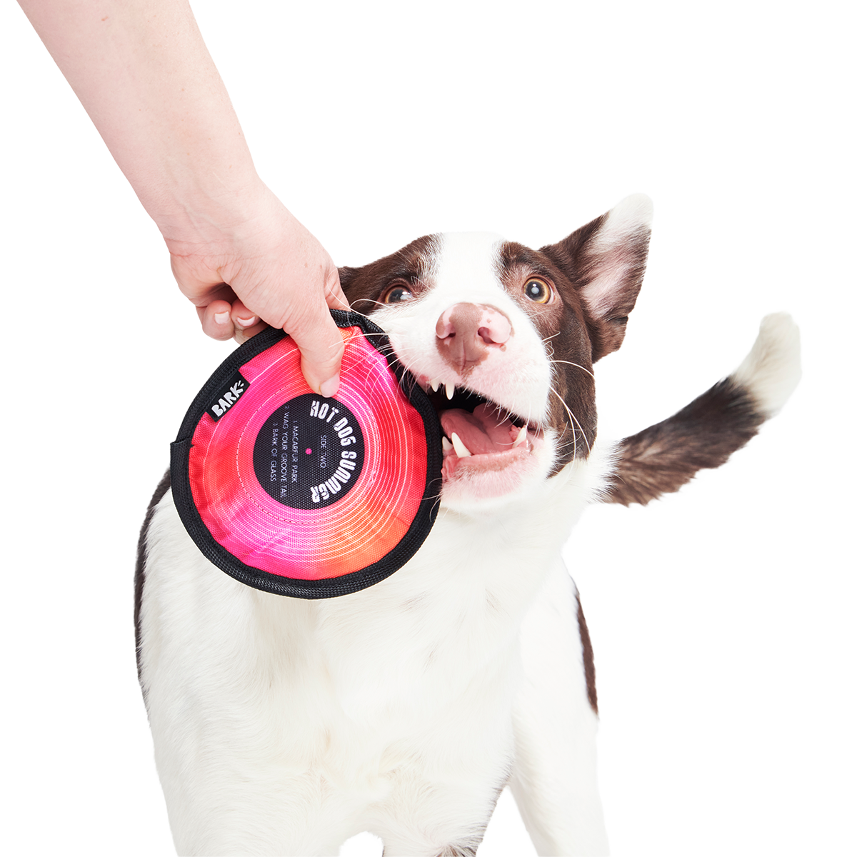 Disco Doggo Disc Super Chewer Durable Fetch Dog Toy