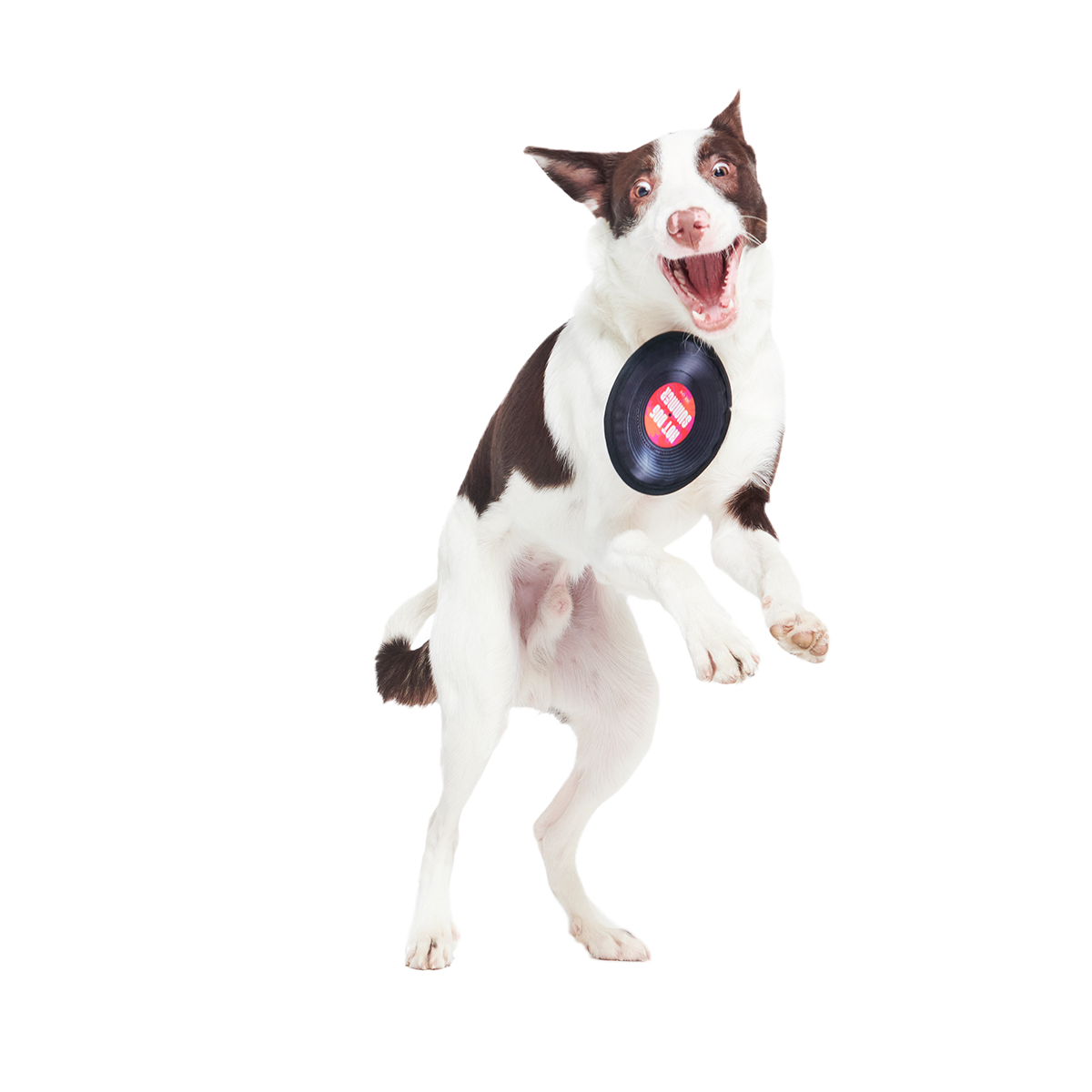 Disco Doggo Disc Super Chewer Durable Fetch Dog Toy