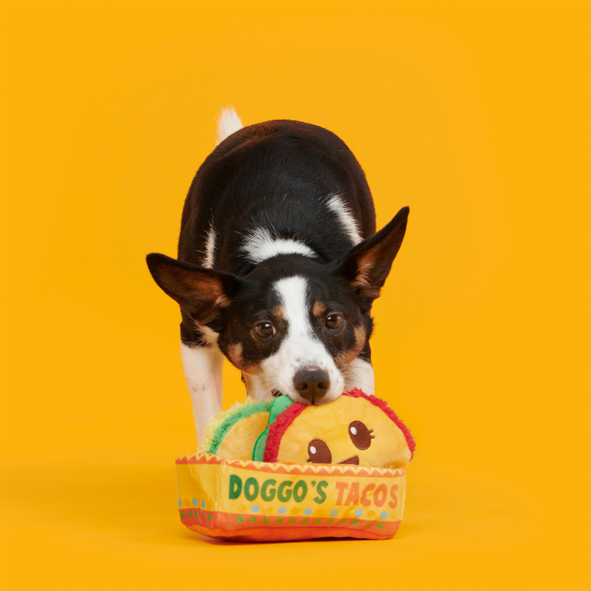 Doggo's Tacos Plush Multi-Part Enrichment Dog Toy