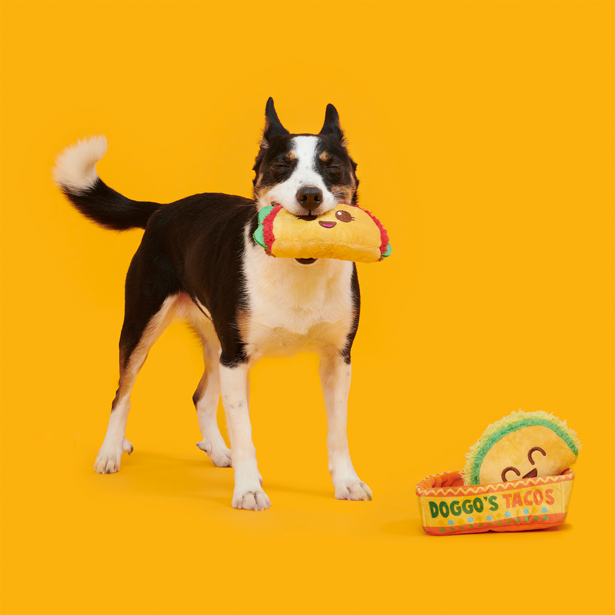Doggo's Tacos Plush Multi-Part Enrichment Dog Toy