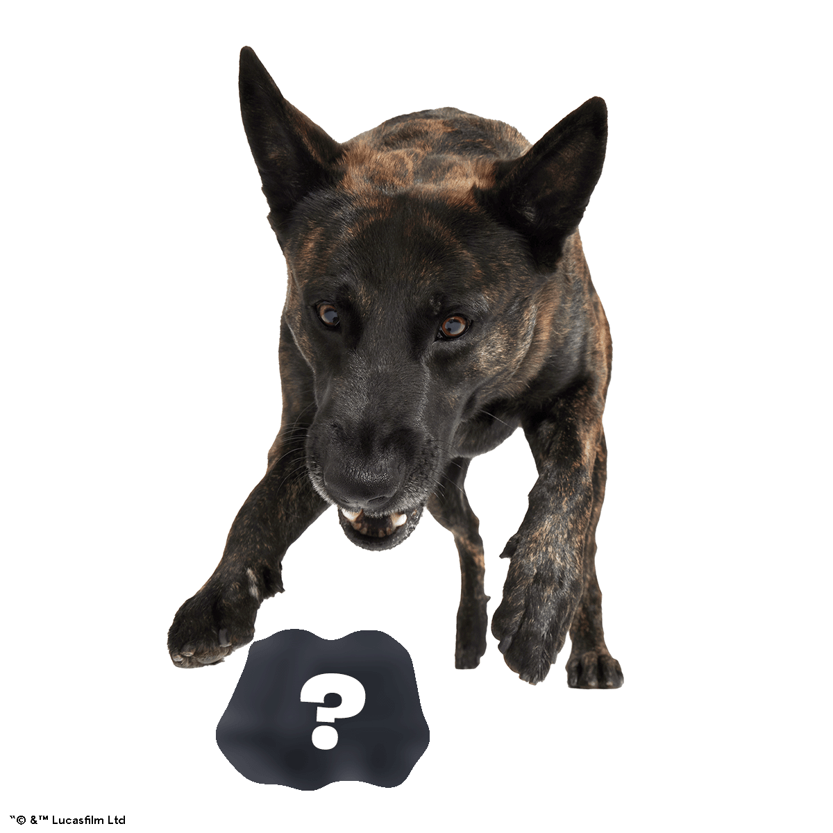 Star Wars™ Droid Smugglers Club