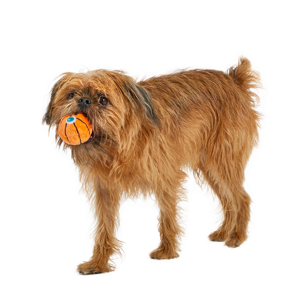 Drool & Dribble Basketball Plush Fetch Dog Toy