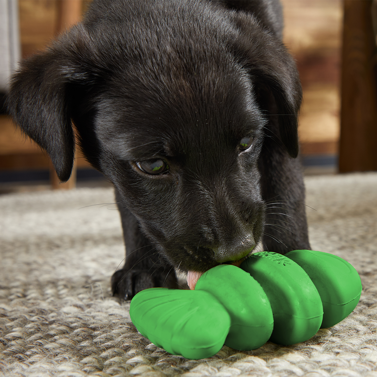 Drop The Bass Super Chewer Durable 2-in-1 + Enrichment Dog Toy