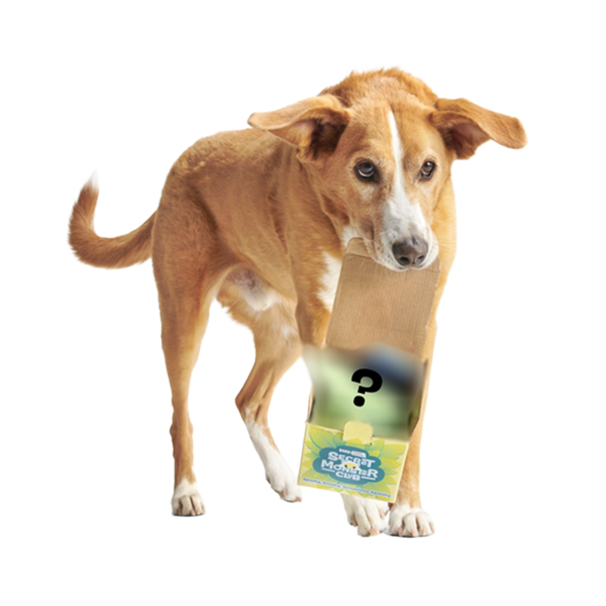 Secret Monster Club, Super Chewer Durable 2-in-1 Rip and Reveal Monthly Dog Toys