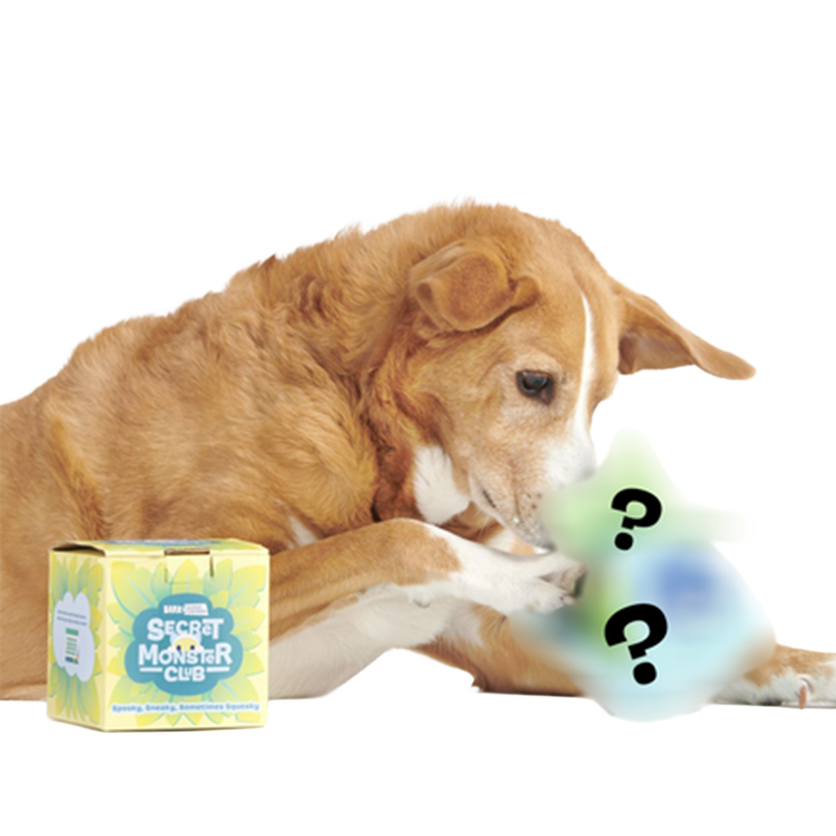Secret Monster Club, Super Chewer Durable 2-in-1 Rip and Reveal Monthly Dog Toys