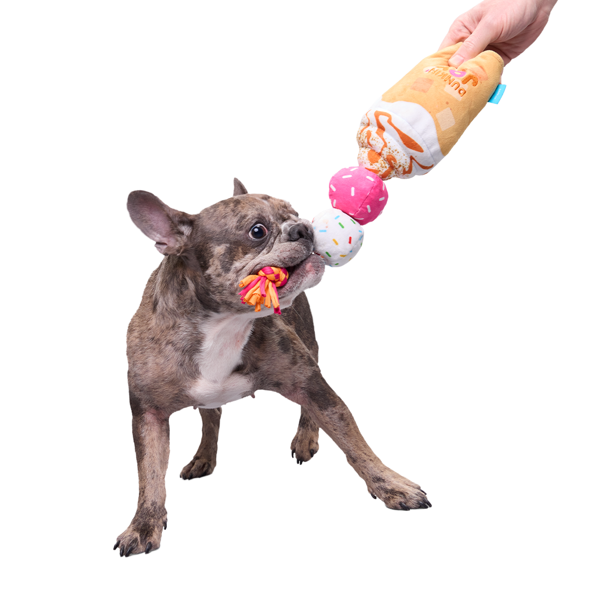 Dunkin'® Pumpkin Signature Latte Plush Tug Dog Toy