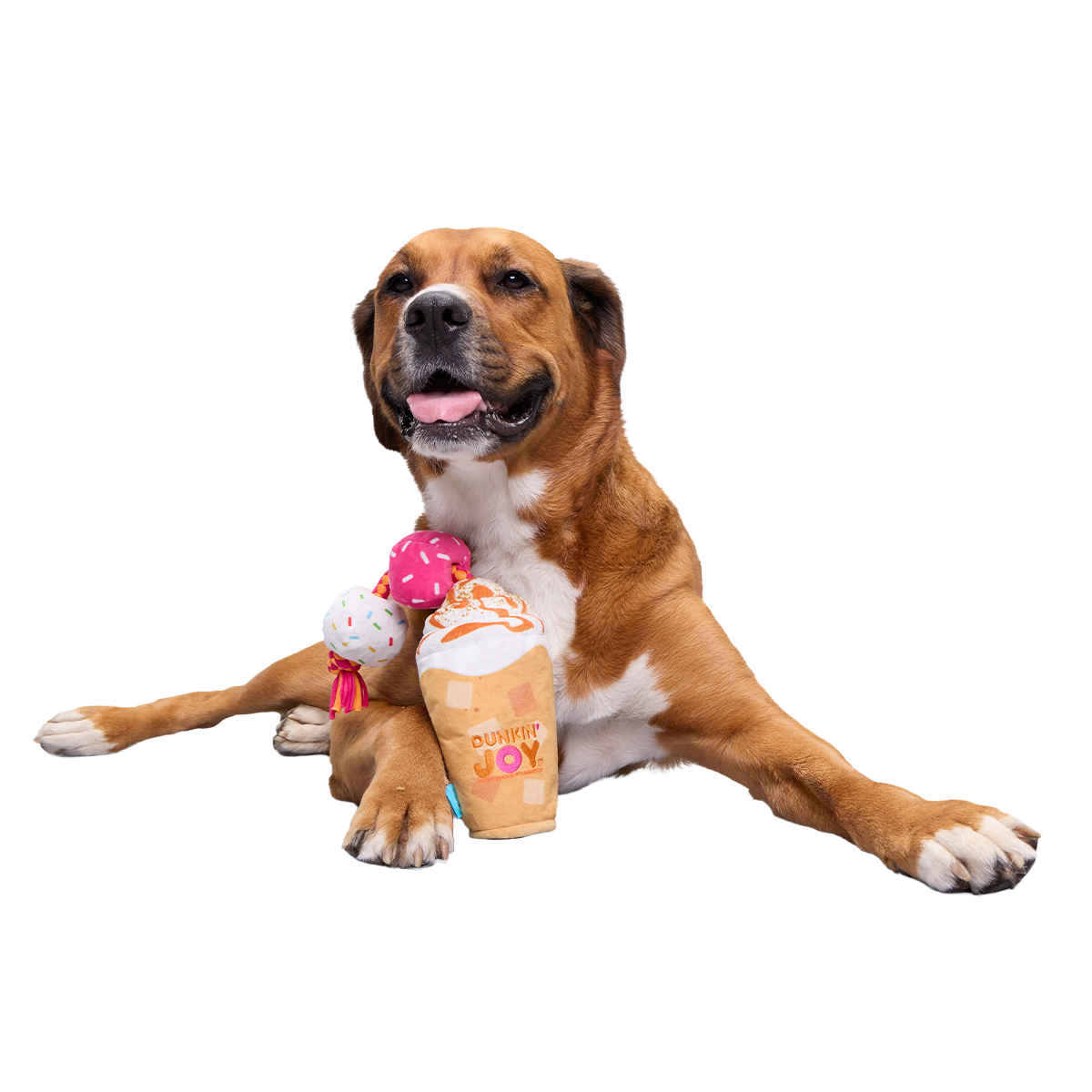 Dunkin'® Pumpkin Signature Latte Plush Tug Dog Toy