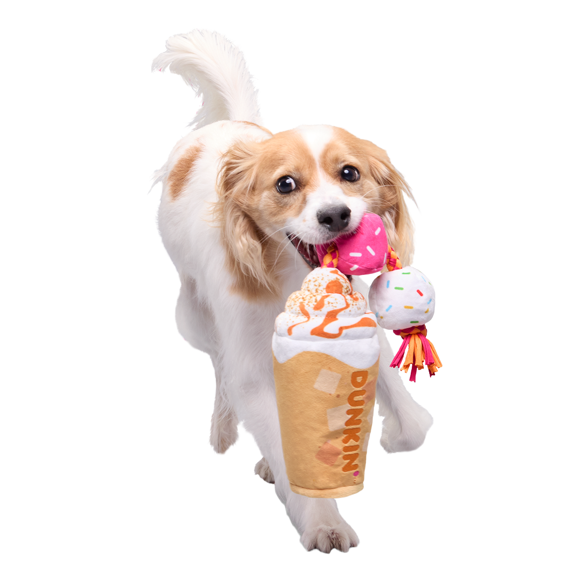 Dunkin'® Pumpkin Signature Latte Plush Tug Dog Toy