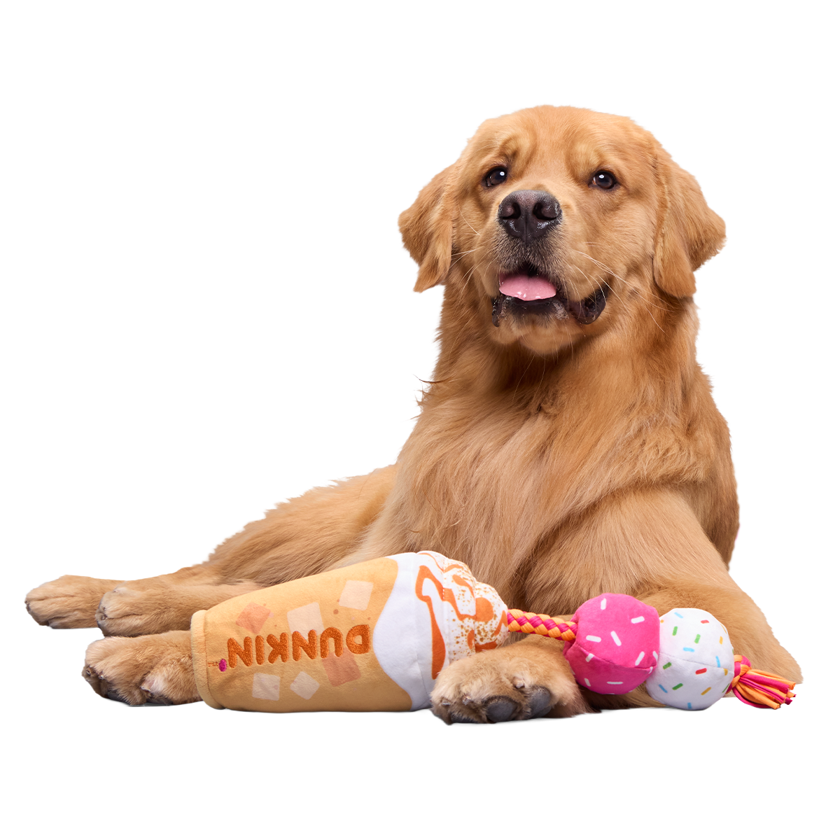 Dunkin'® Pumpkin Signature Latte Plush Tug Dog Toy