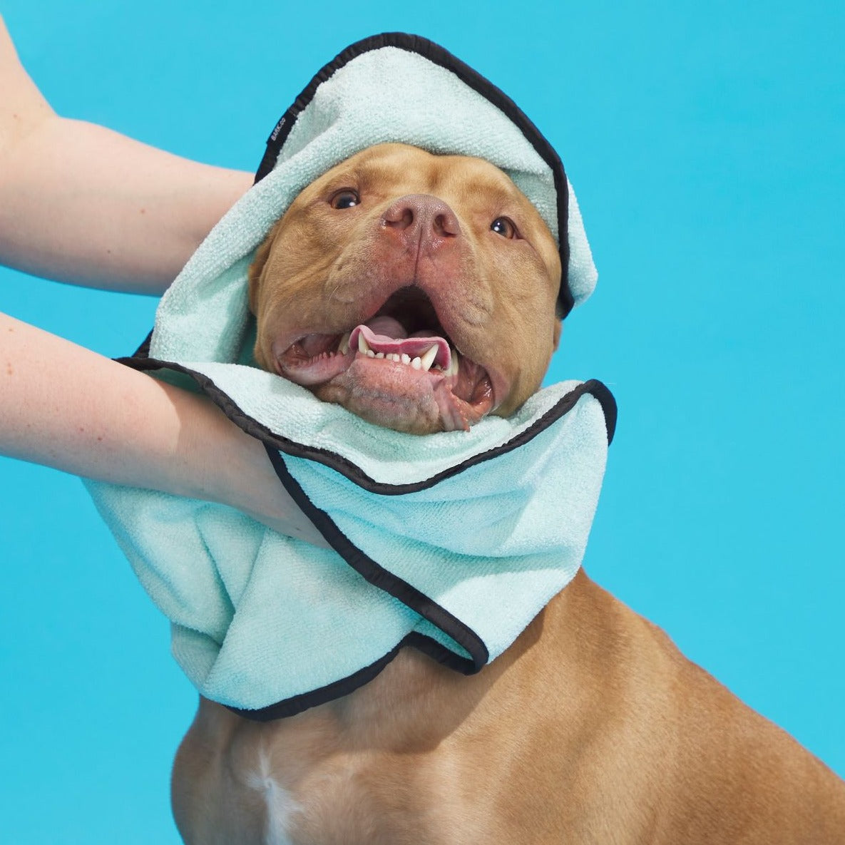 Play Day Beach Bag & Dog Towel