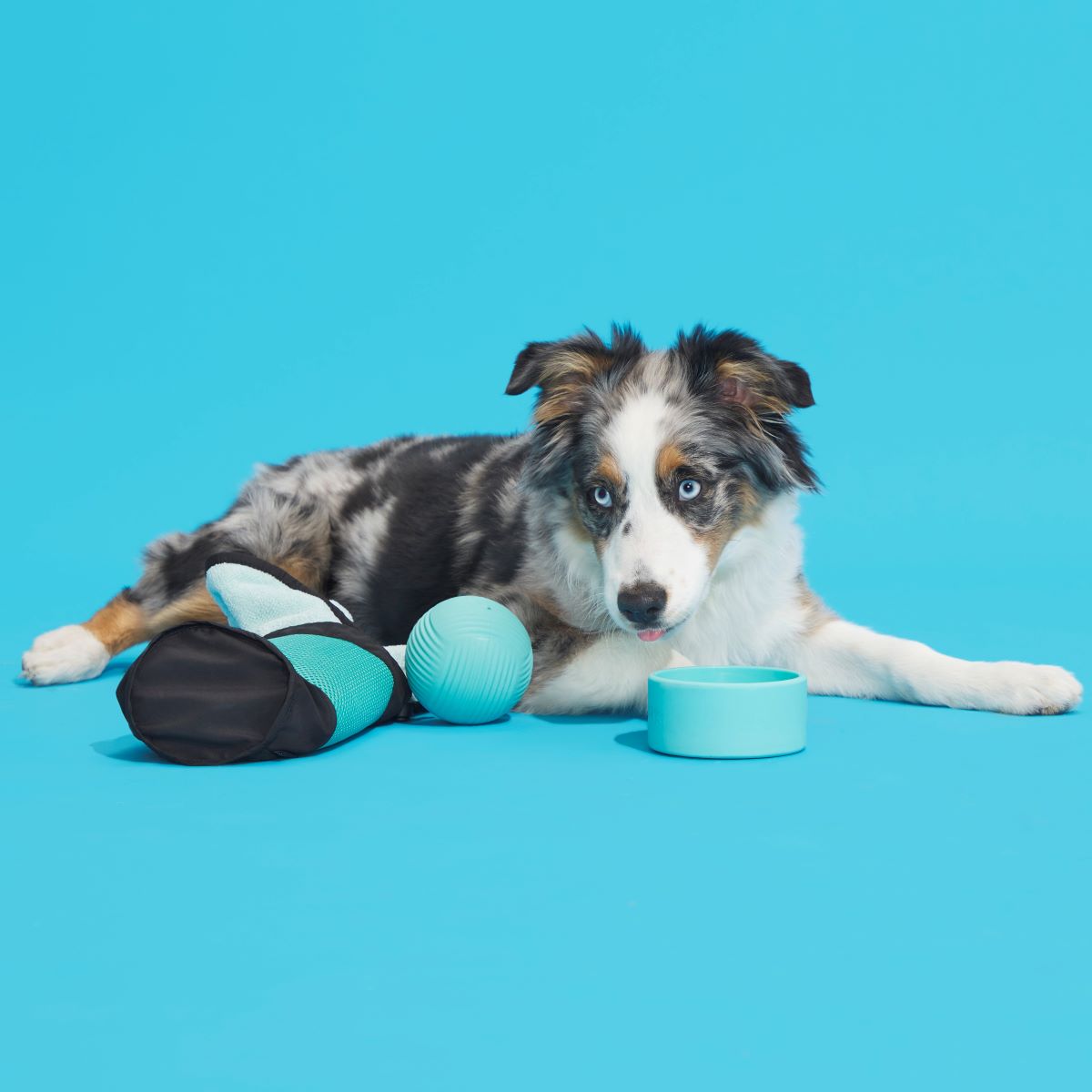 Play Day Beach Bag & Dog Towel