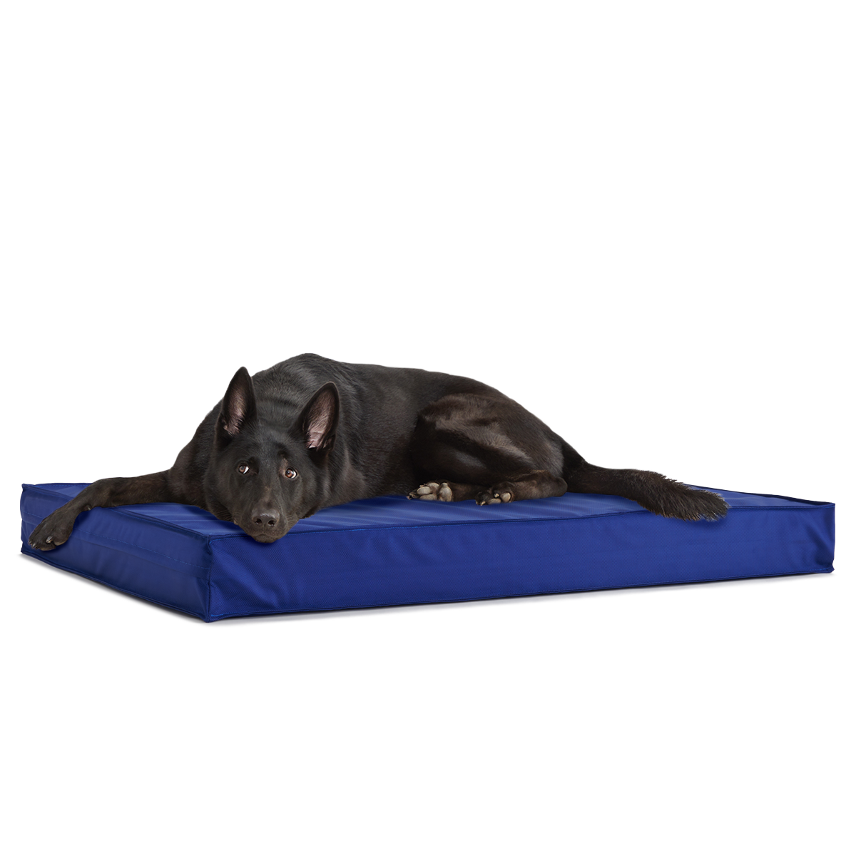 Outdoor Dog Bed