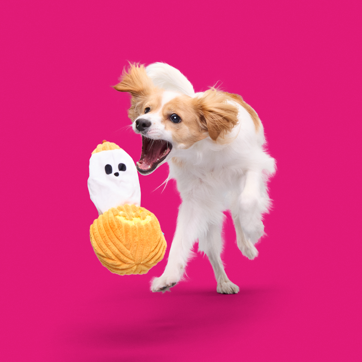 Eek-a-Boo Pumpkin Plush Enrichment Dog Toy