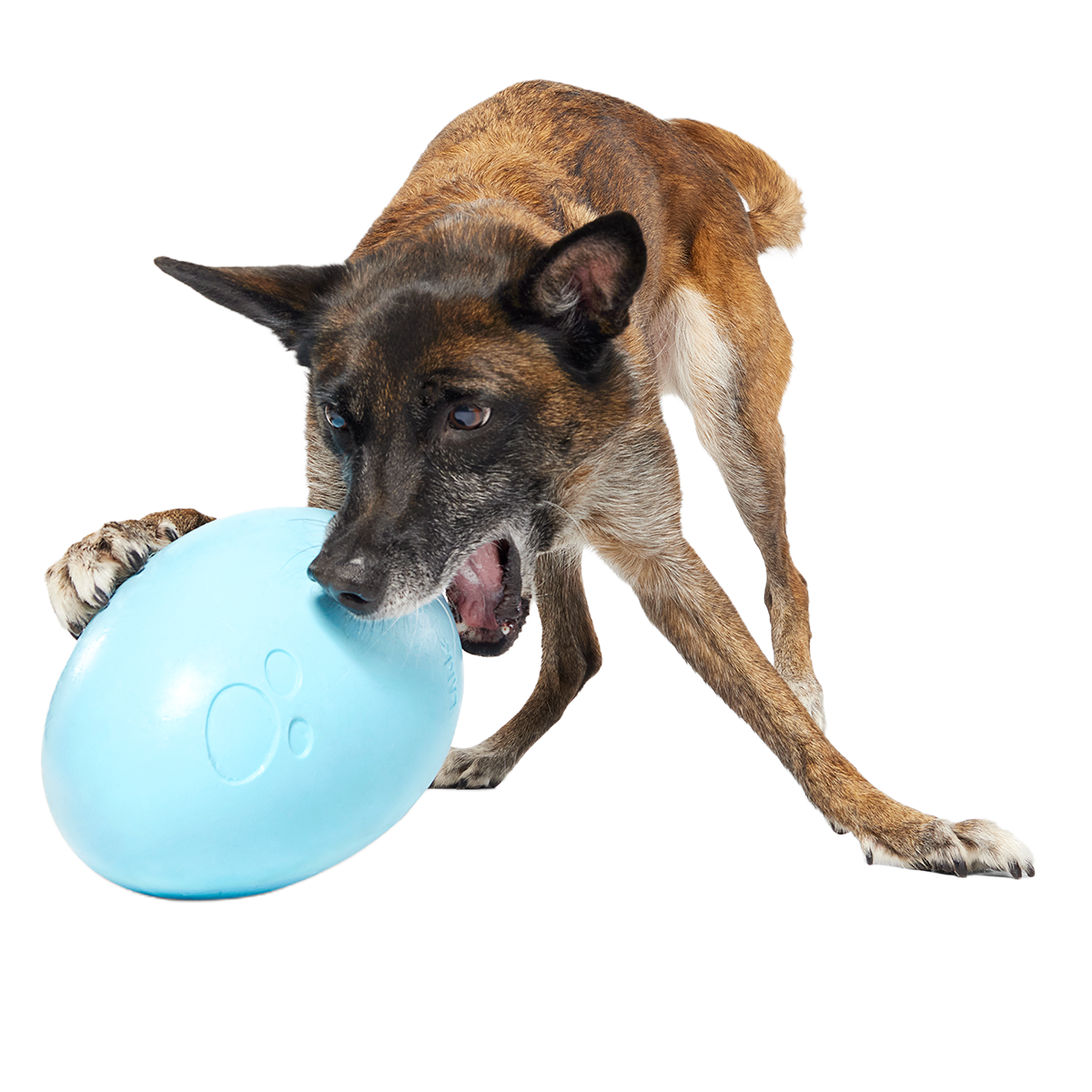 Eggstra Large Easter Egg Super Chewer Durable Extra-Large + Fetch Dog Toy