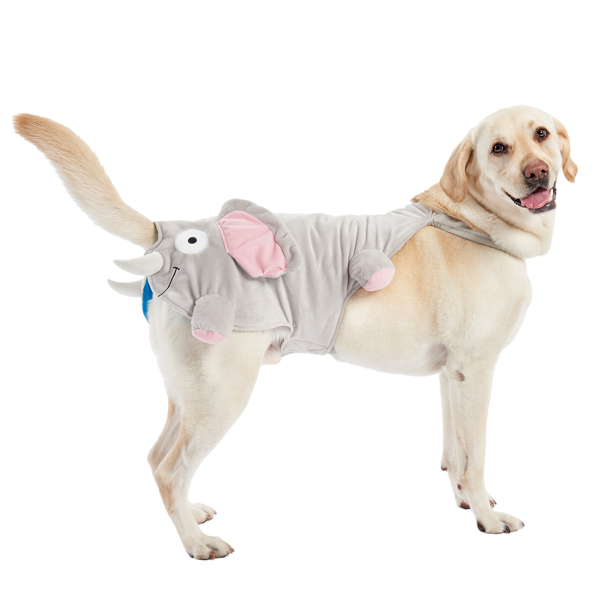 Elephant Dog Costume