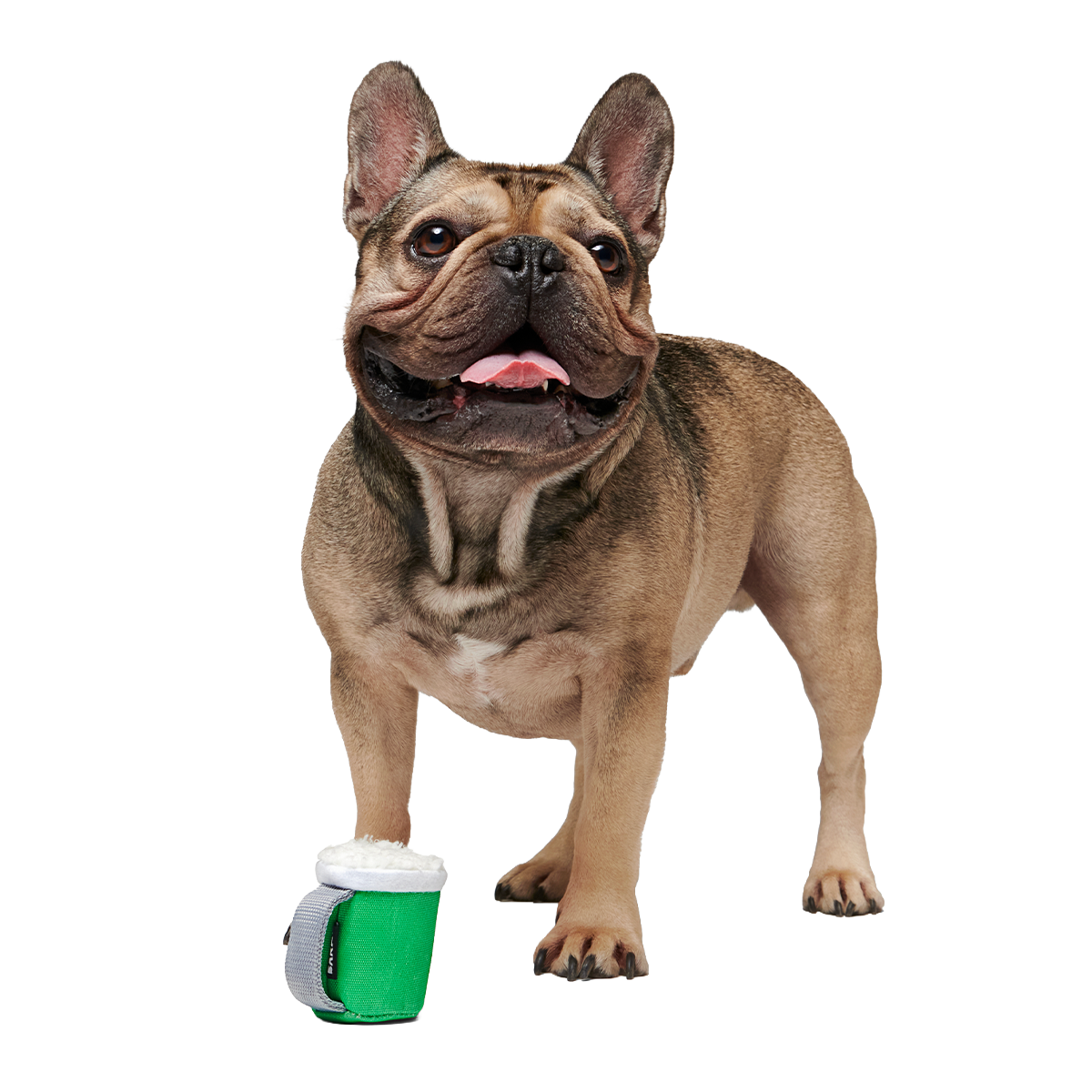 Erin Go Brew Super Chewer Durable 2-in-1 + Tug Dog Toy