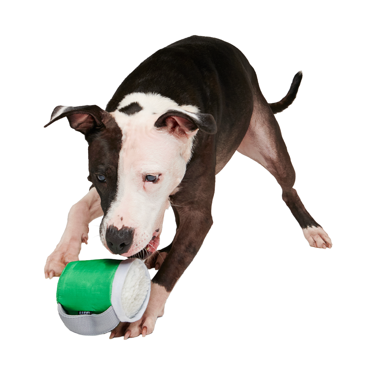 Erin Go Brew Super Chewer Durable 2-in-1 + Tug Dog Toy