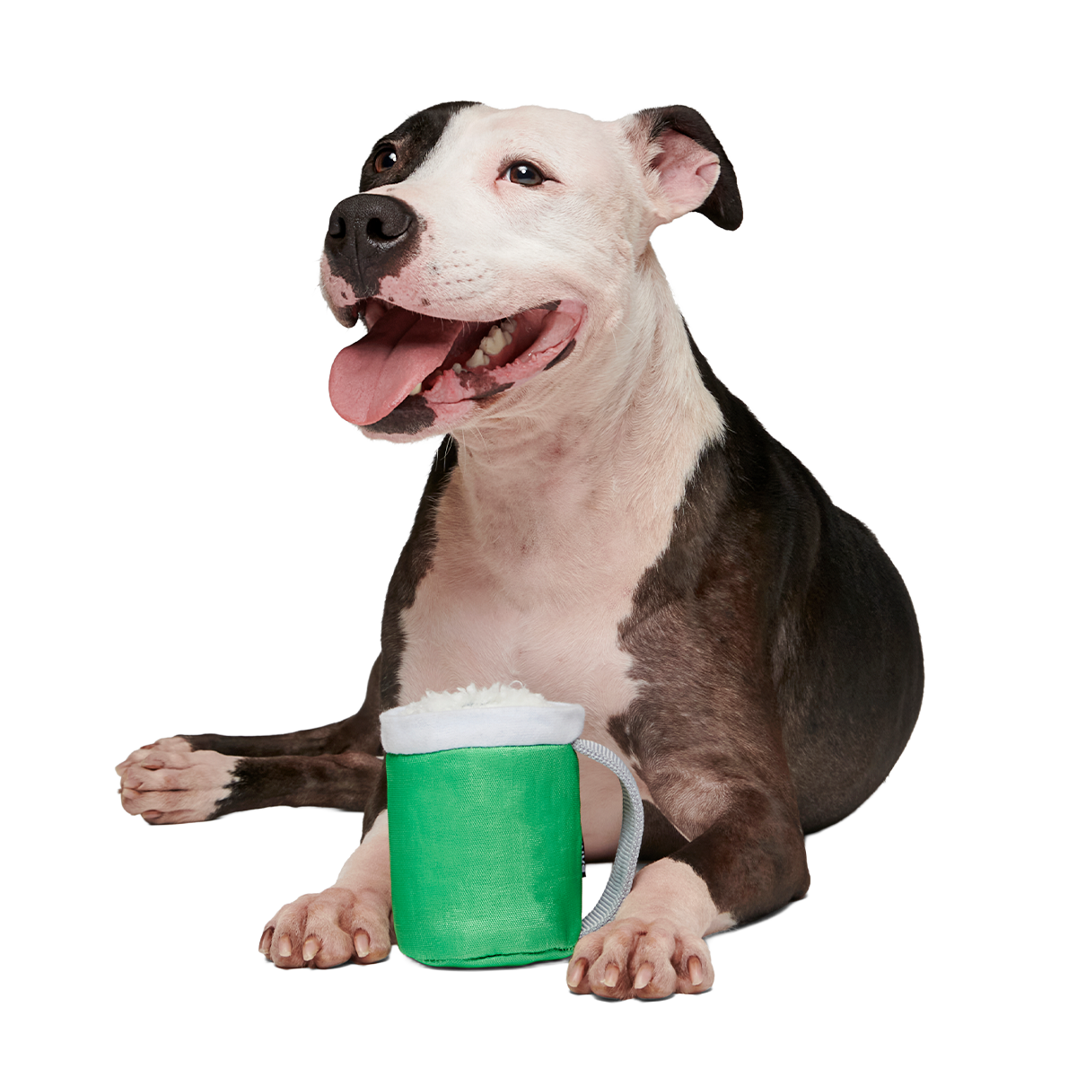 Erin Go Brew Super Chewer Durable 2-in-1 + Tug Dog Toy