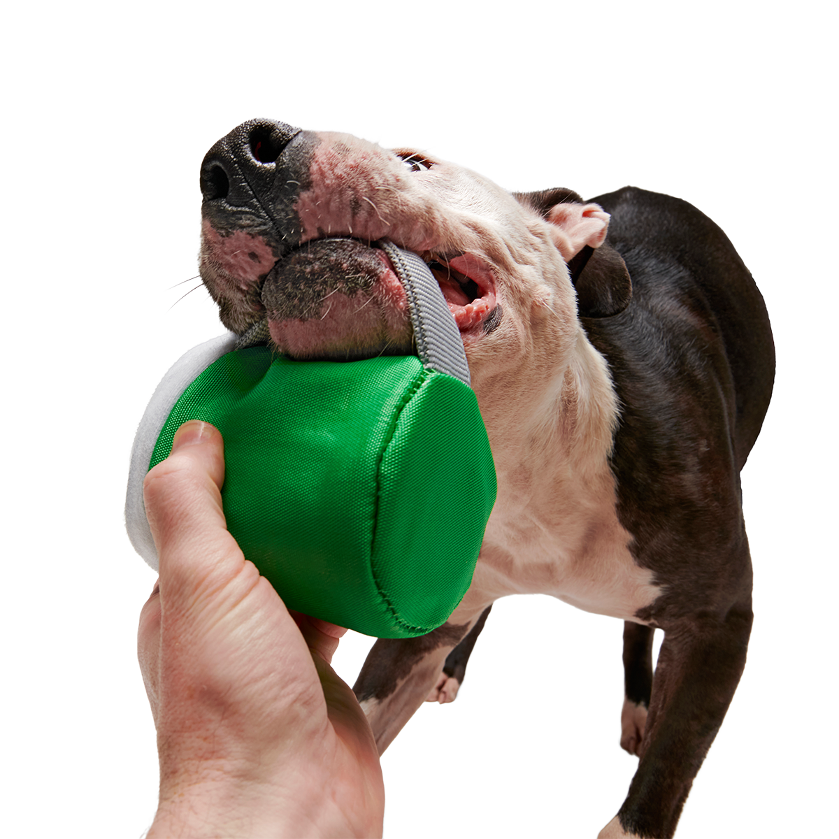 Erin Go Brew Super Chewer Durable 2-in-1 + Tug Dog Toy