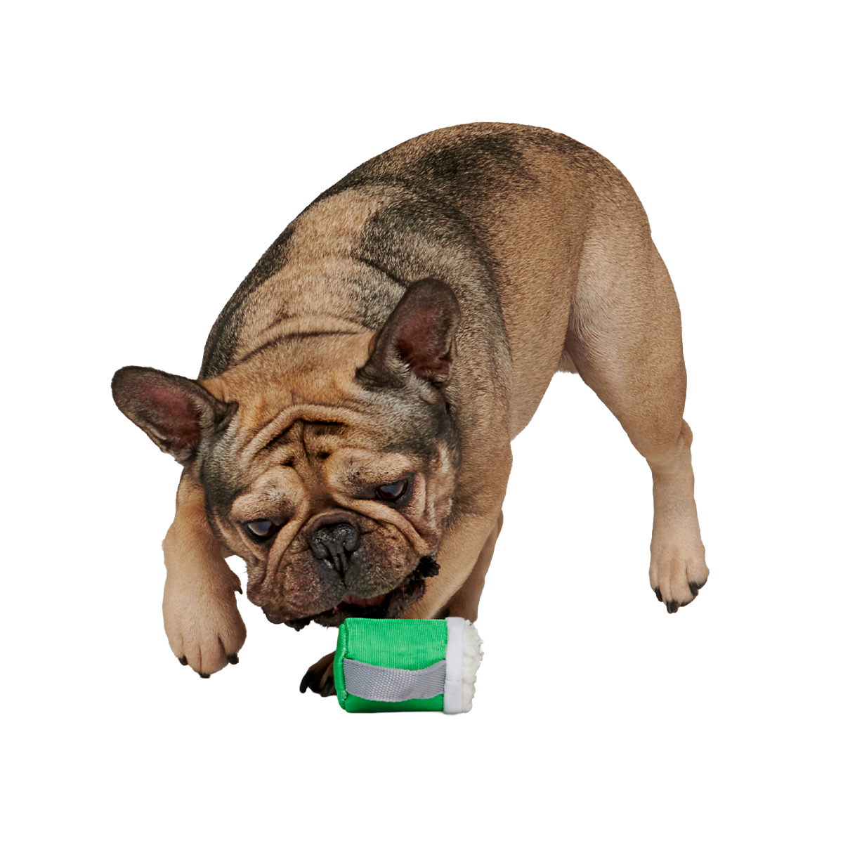 Erin Go Brew Super Chewer Durable 2-in-1 + Tug Dog Toy
