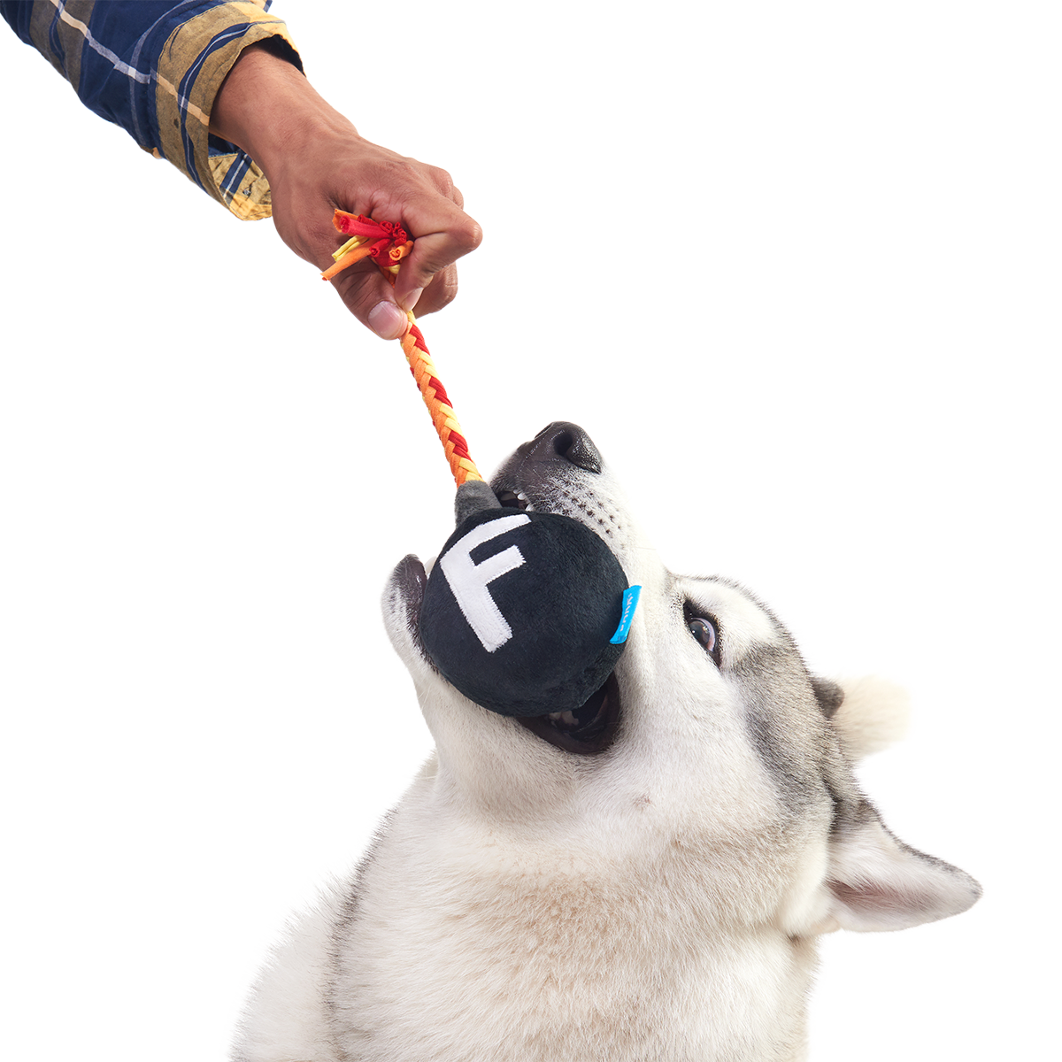F Bomb Plush Tug Dog Toy