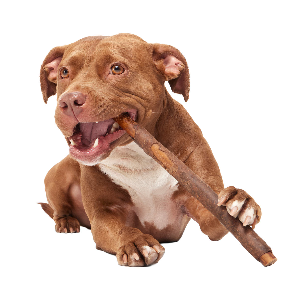 Beefy Chewin' Collagen Dog Chew, 12 inch
