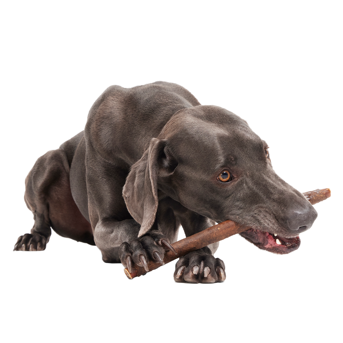 Beefy Chewin' Collagen Dog Chew, 12 inch