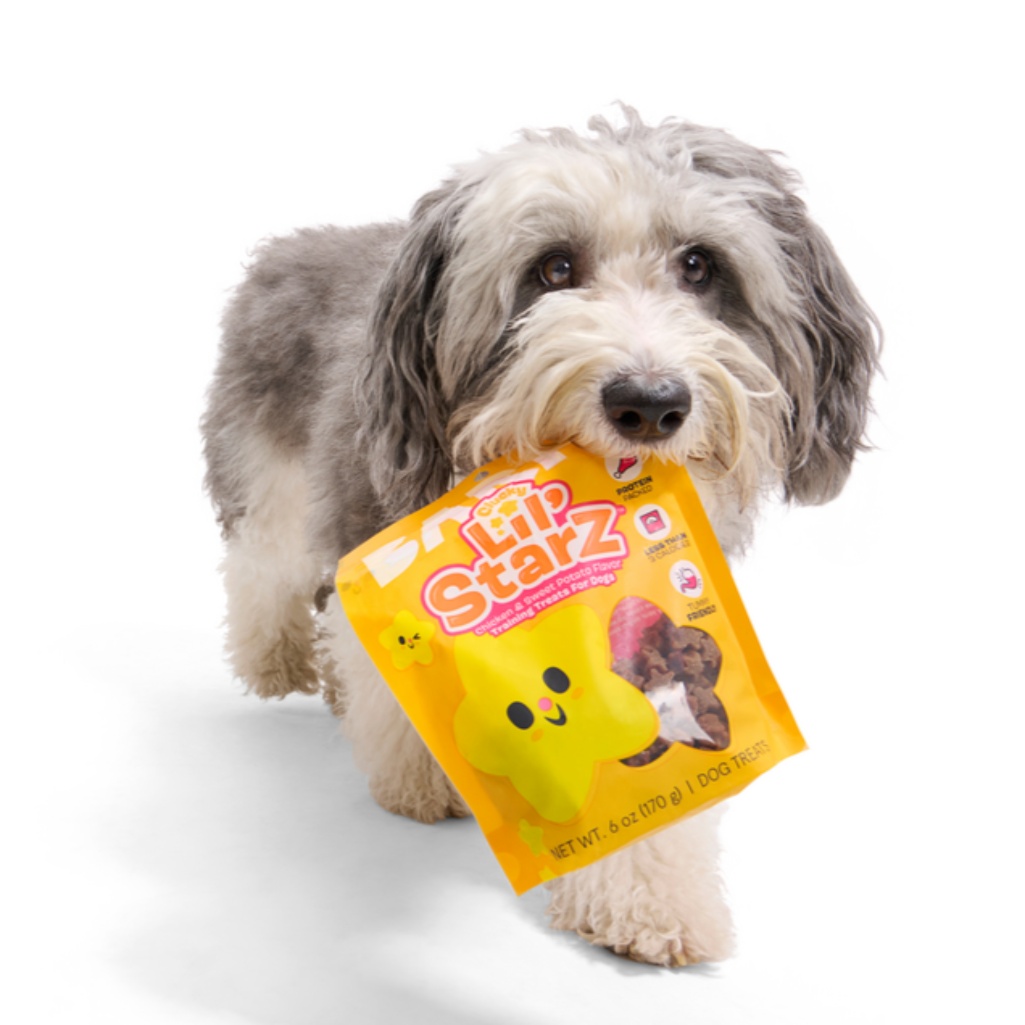 Clucky Lil' Starz Chicken Soft & Chewy Training Dog Treats, 6 oz