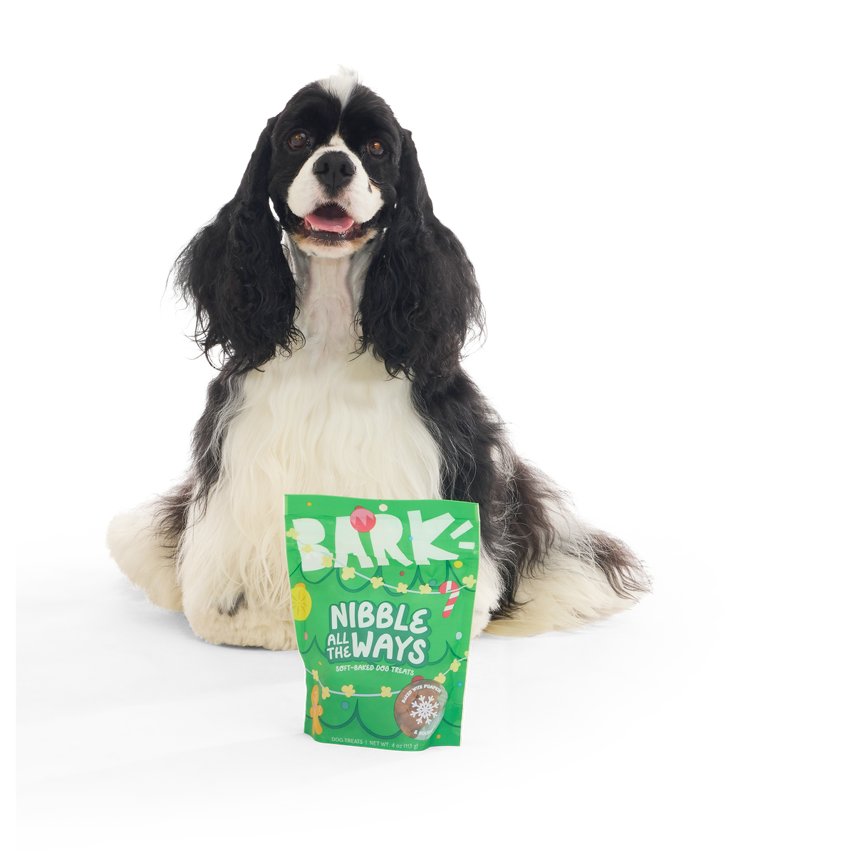 Elf Dog Toy & Treat Holiday Gift Box