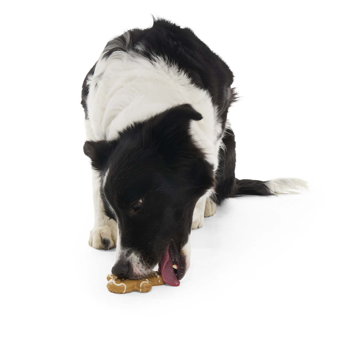 Gingerbark Man Cookie