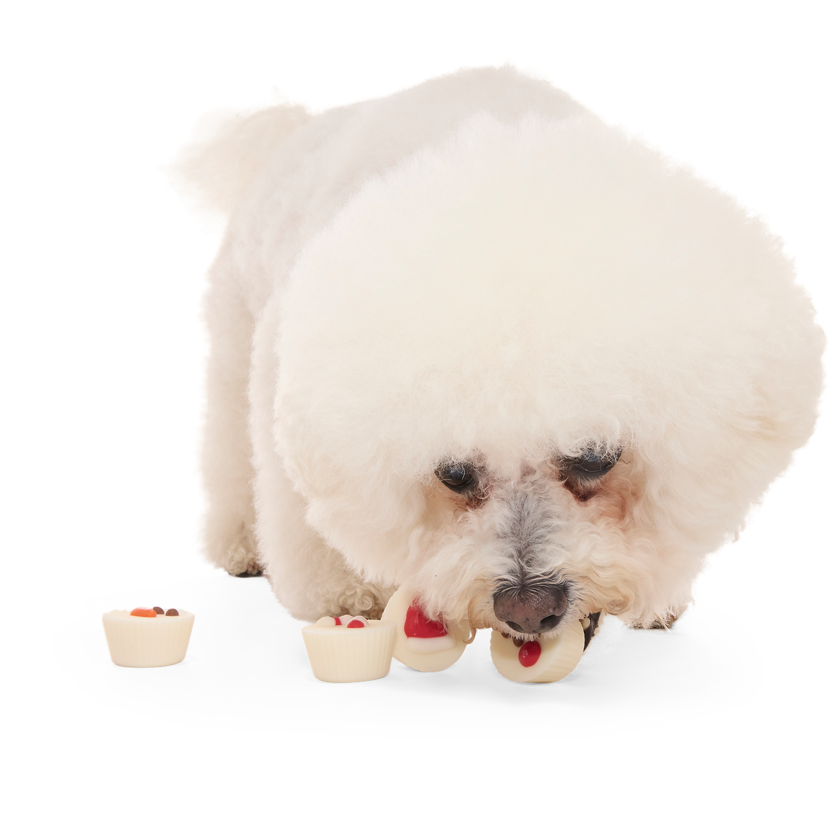 Christmutts Treat Cups