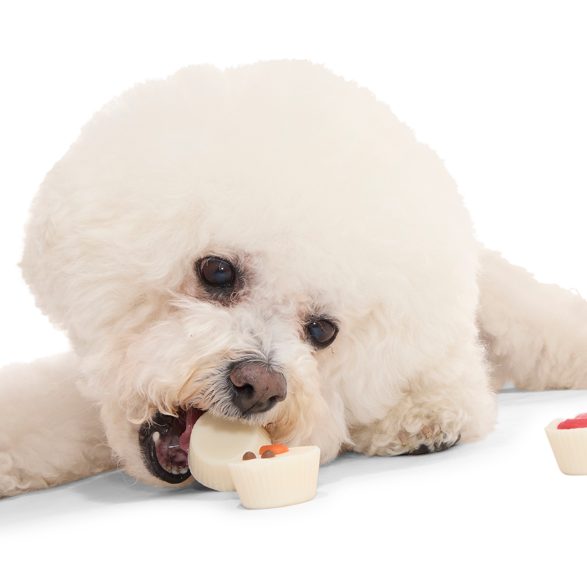 Christmutts Treat Cups