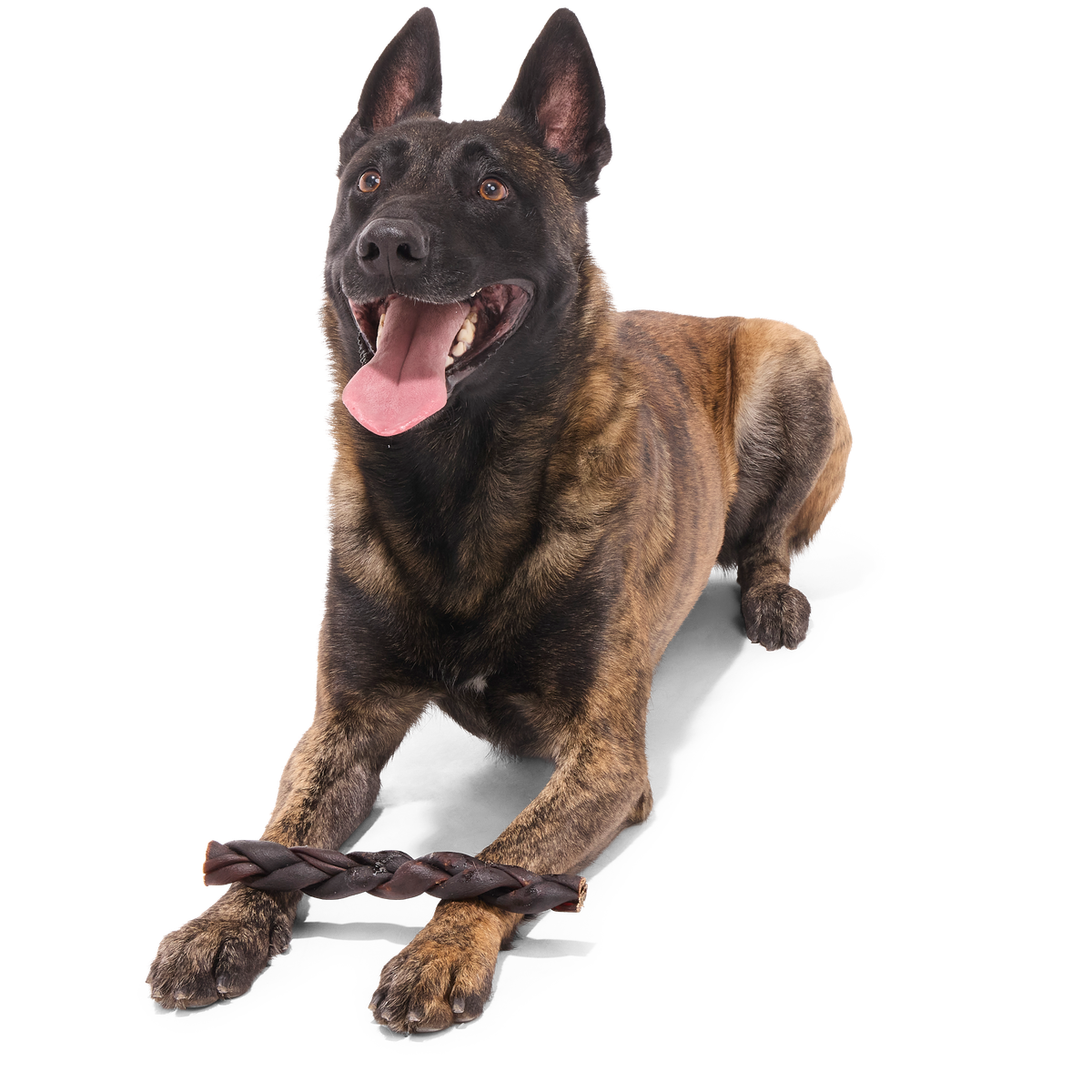 Beef Braided Collagen Dog Chew, Single, 9"