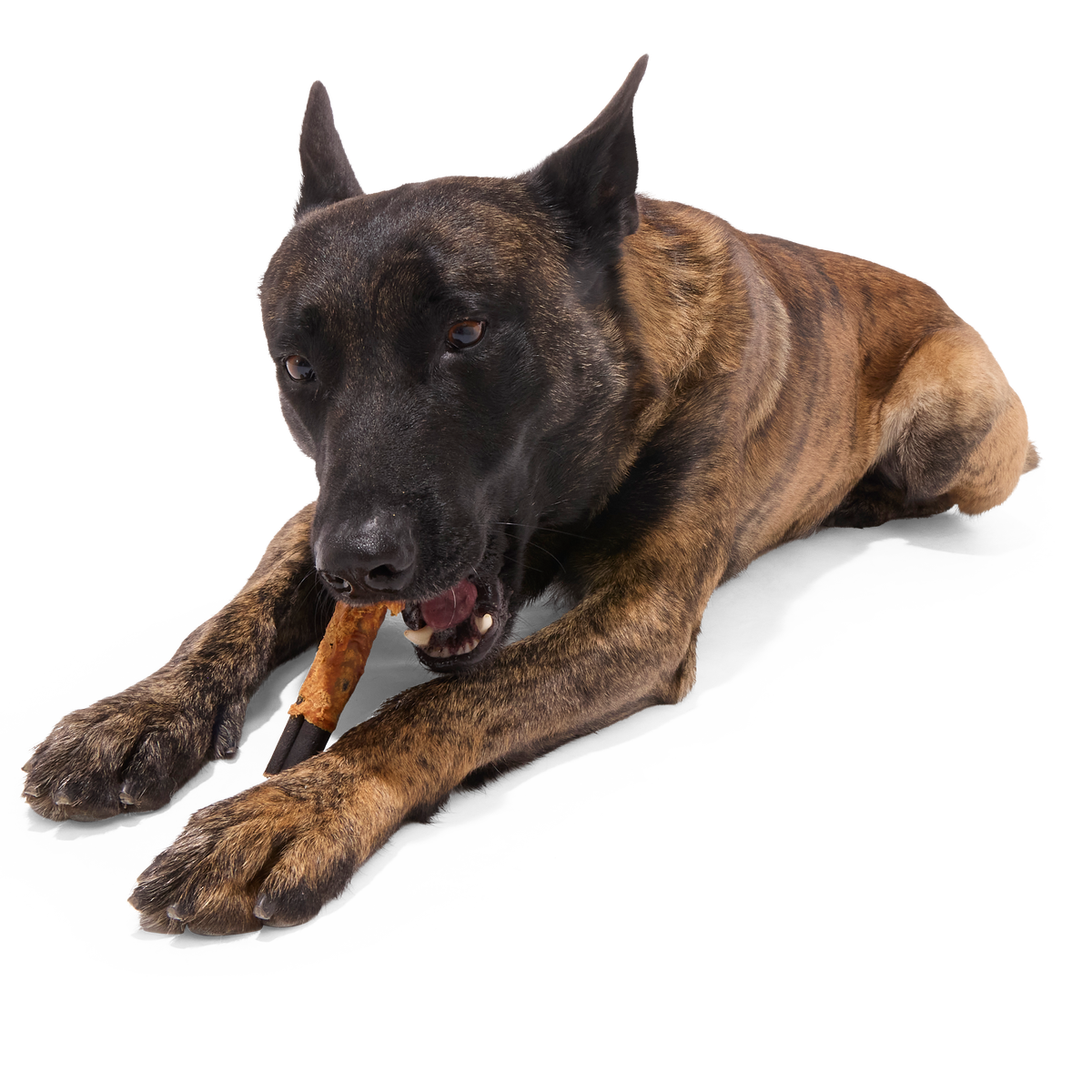 Variety Pack Collagen Dog Chews, 3 Ct