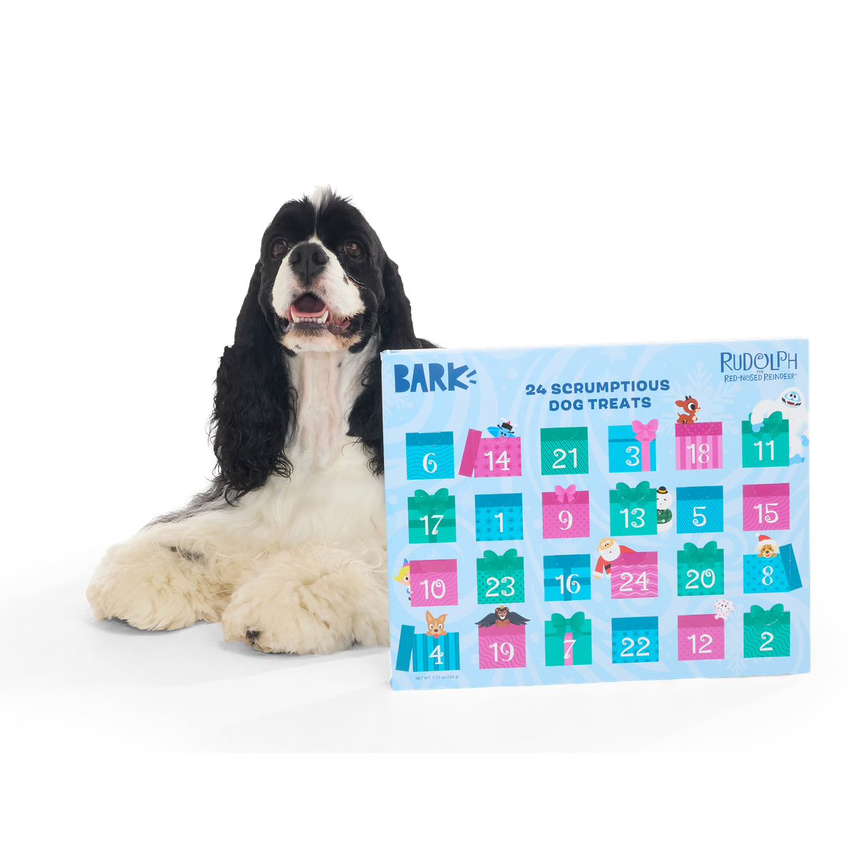 Rudolph® Treat Advent Calendar