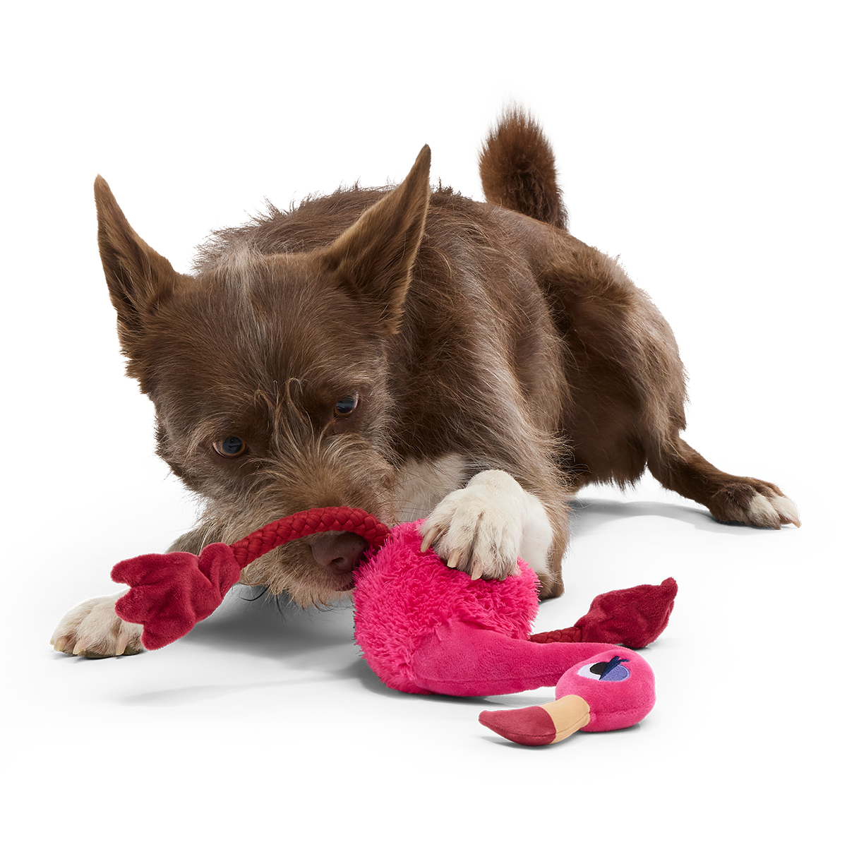 Fahari Flamingo Plush Extra-Large + Tug Dog Toy