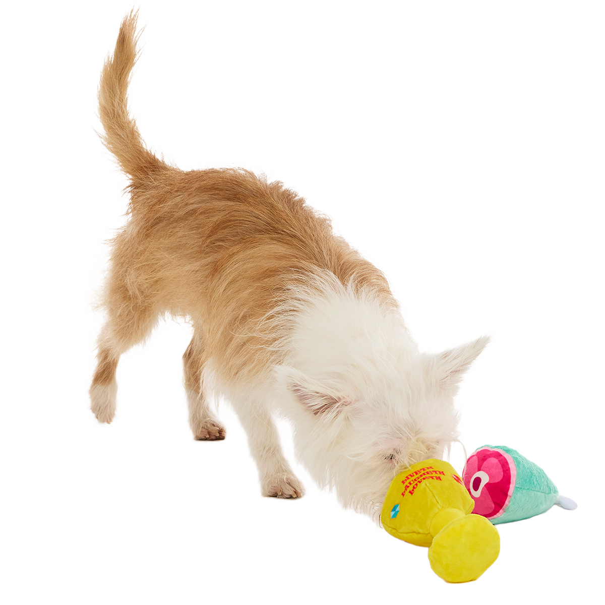 Feast Fetched for a King Plush Multi-Part Dog Toy
