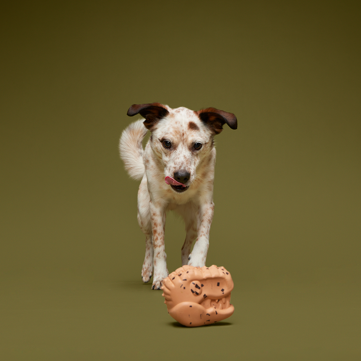 Feeding Time Super Chewer Durable Enrichment Dog Toy