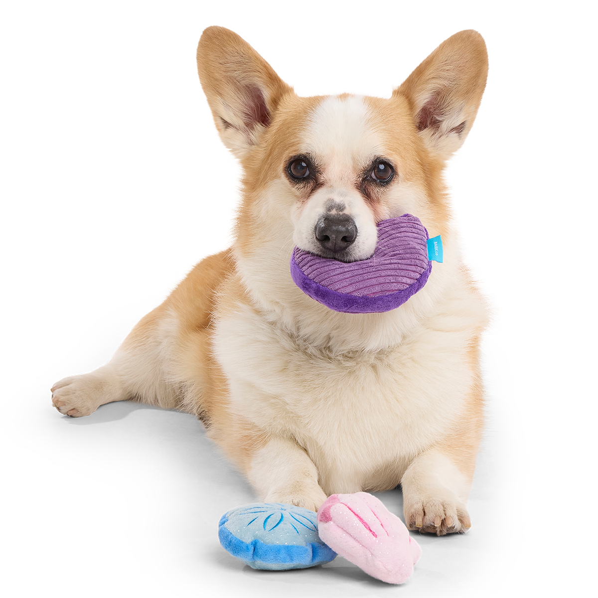 Fetchin' Squeakshells Plush Multi-Part Dog Toy