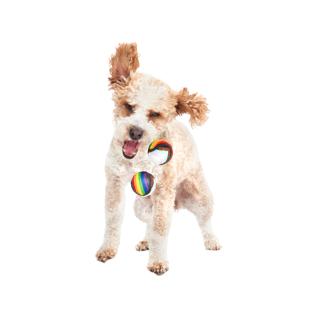 Fetch is Fetch Plush Multi-Part Dog Toy