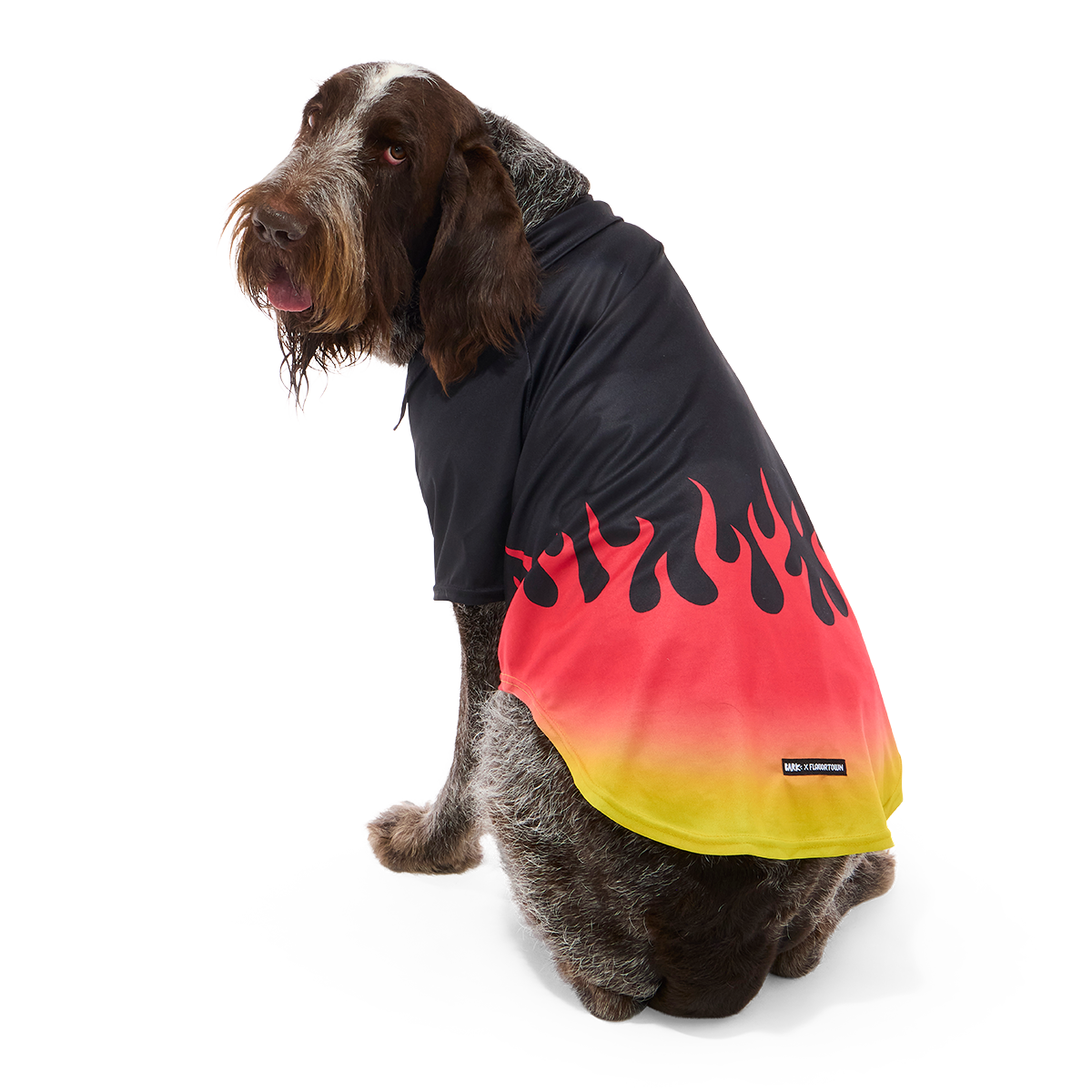 Flame Broiled Button-Down Dog Shirt#Size_XL