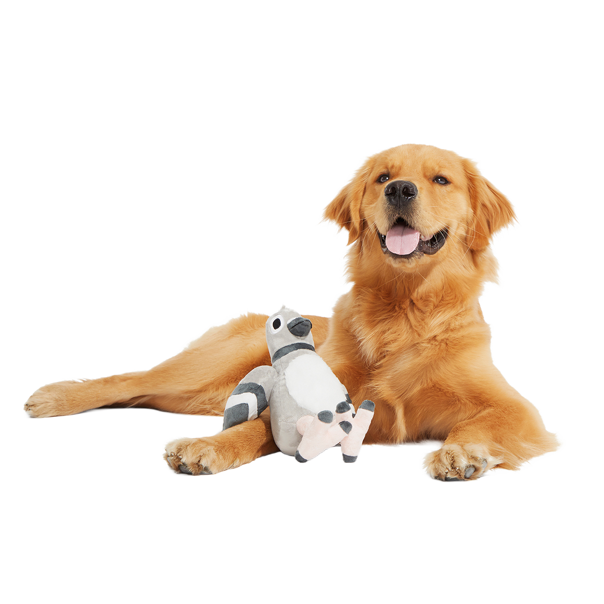 Flappin' Flossie Plush Tug Dog Toy